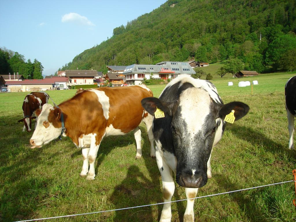 Hotel Milan B&B Ringgenberg Buitenkant foto
